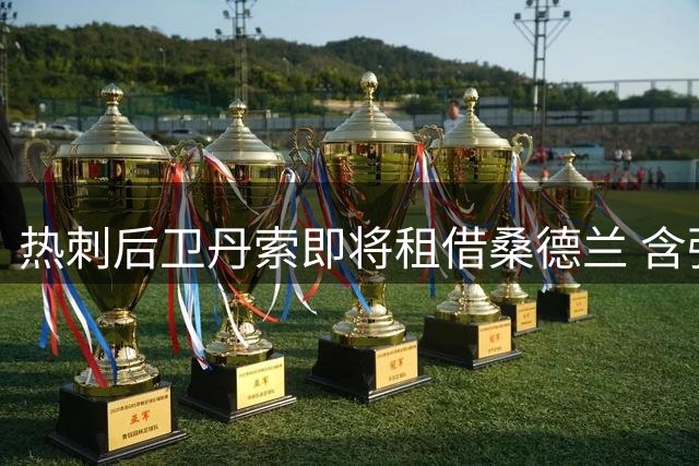 热刺后卫丹索即将租借桑德兰 含强制买断条款